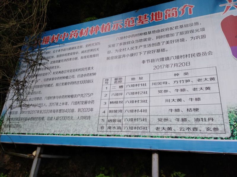 中草药纯野生基地