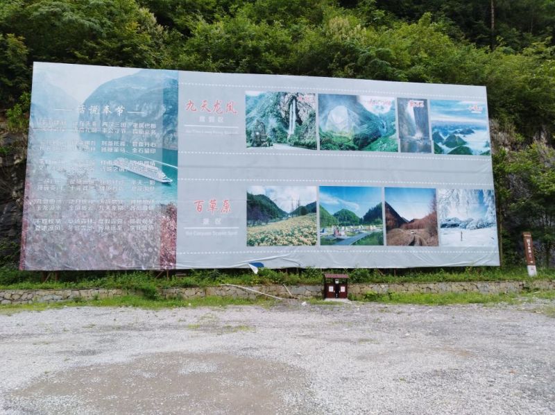 中草药纯野生基地