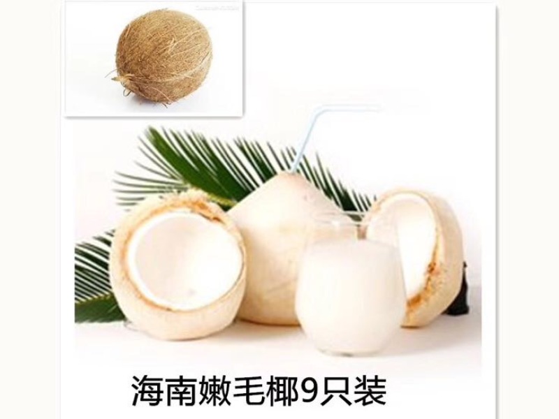 海南文昌椰青，支持全国一件代发，批发可厂直供整车发