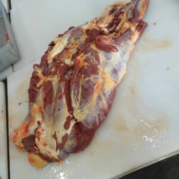 蒙古马肉