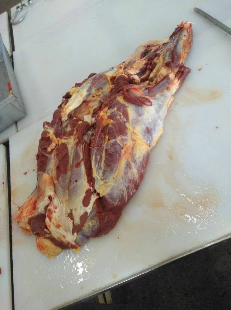 蒙古马肉