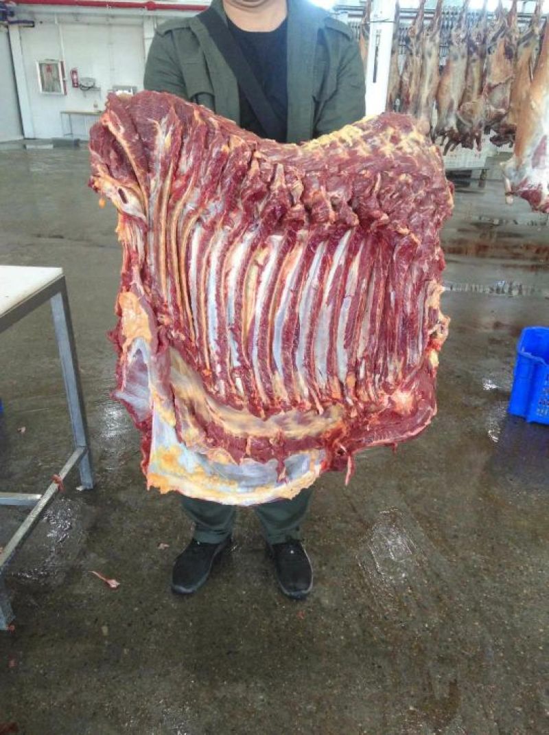 蒙古马肉
