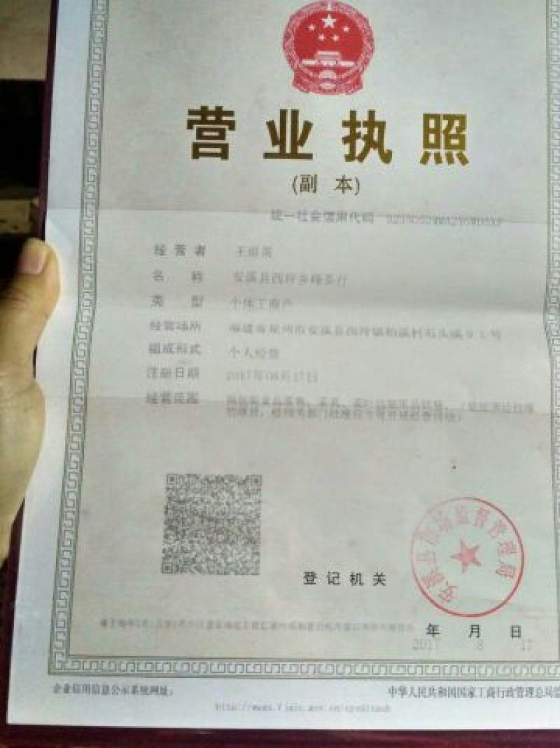 水果片茶