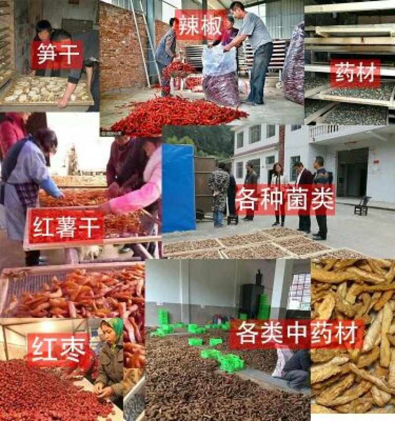 厂家直销烘干机烤干机烤箱食用菌烘干机鱼虾豆角药材煤柴烘干