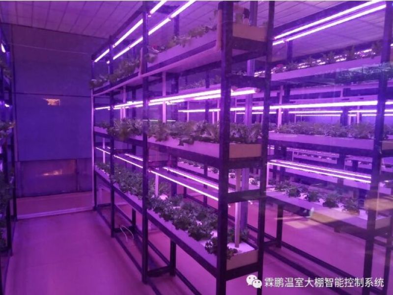 上海洲涛霖鹏智能温室大棚、智慧农业物联网