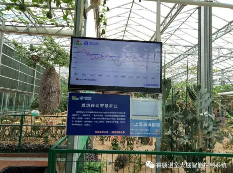 上海洲涛霖鹏智能温室大棚、智慧农业物联网