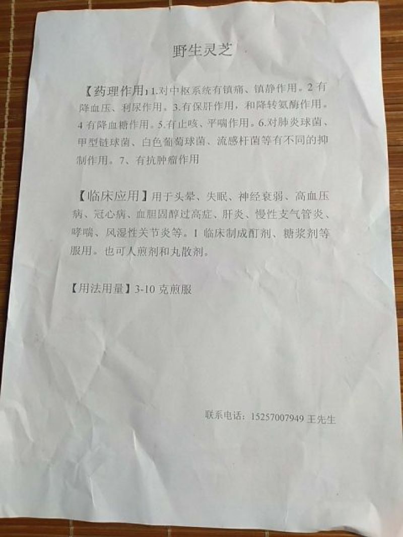 正宗野生灵芝