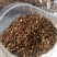 蒲公英茶，有消炎去火，健胃消炎