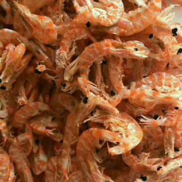 虾皮