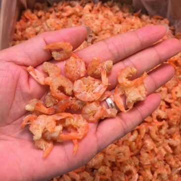 干虾米一级
