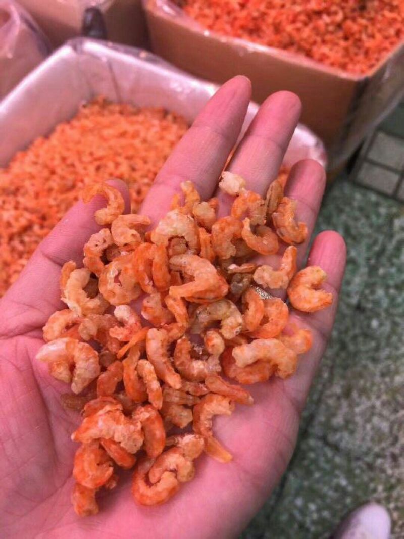干虾米一级