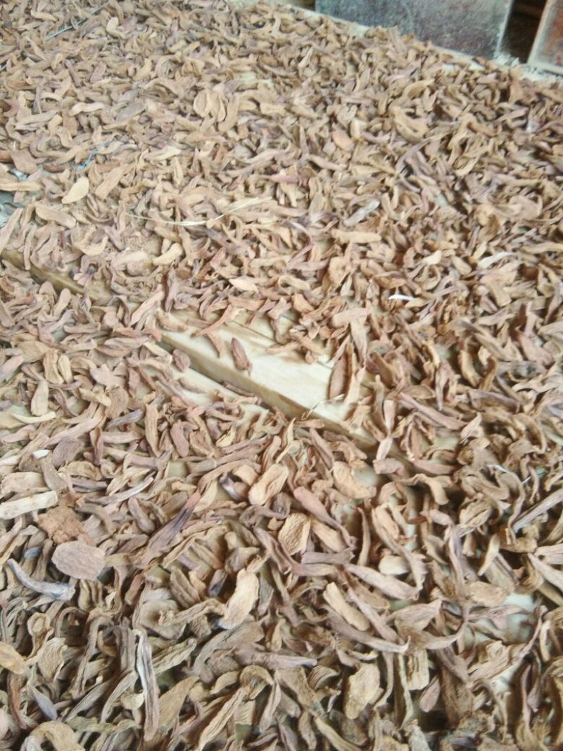 锁阳