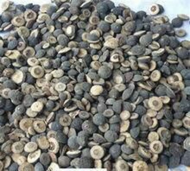 陕西省汉中市洋县枳实小香园豆豆两半和整颗