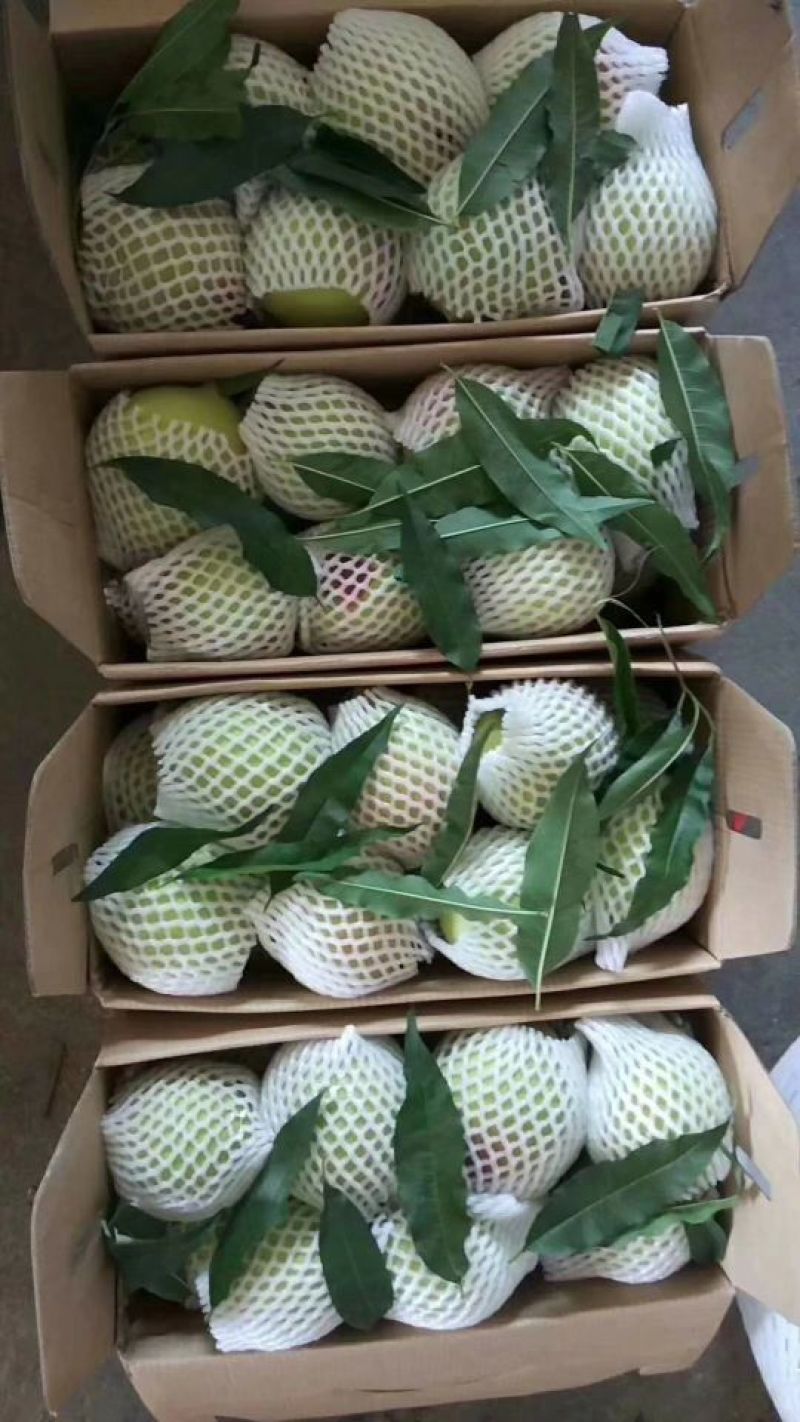 上坪鹰嘴桃