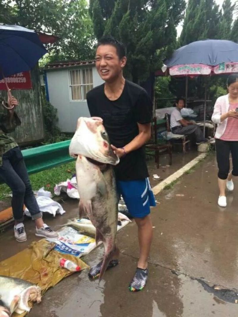 花鲢