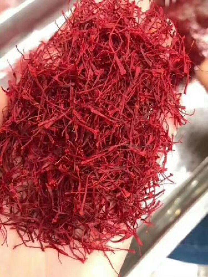 藏红花特级
