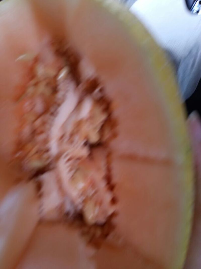 哈密瓜黄蛋子