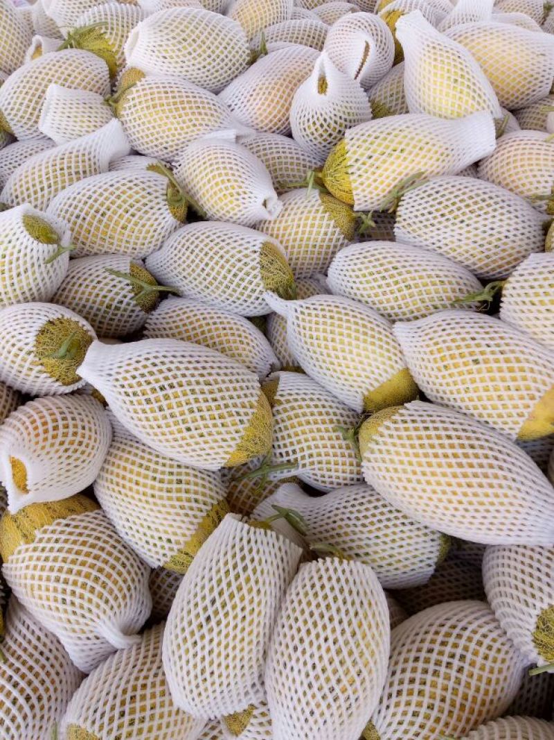 哈密瓜宝丰蜜