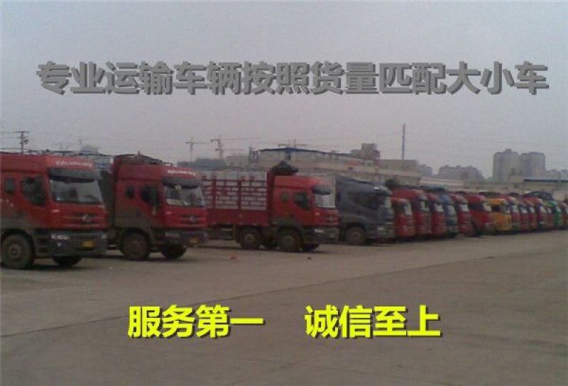 春季库存红富士苹果大量批发纸袋红富士苹果产地直销