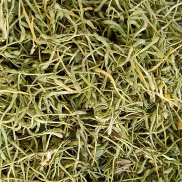 金银花杀青货量大交药厂用的含量高是搞提取用的