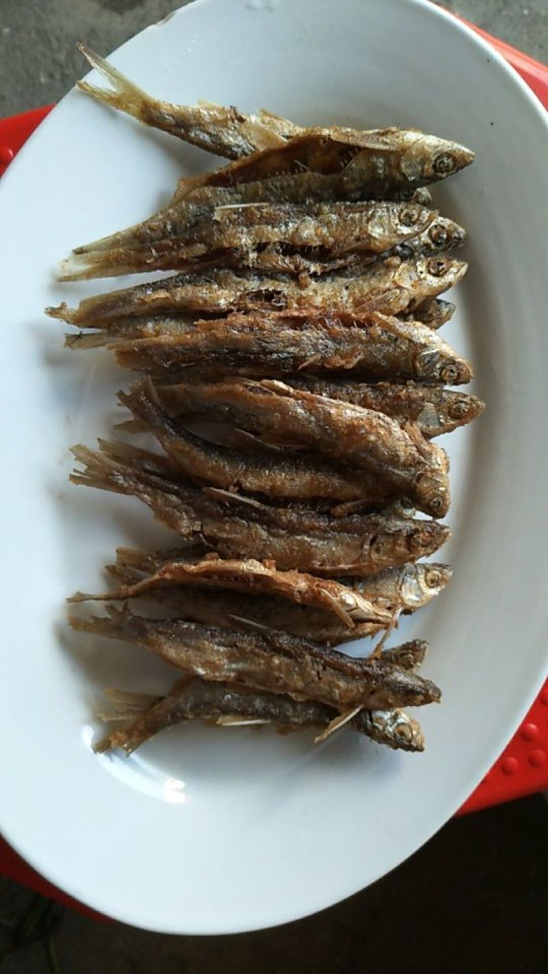 干鱼
