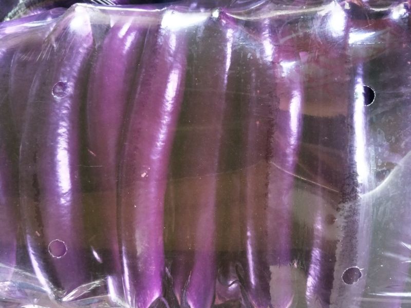 A级精品紫长茄、紫棒茄、广茄、加工用，大量上市，产地直供