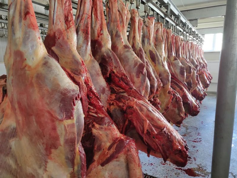 蒙古马肉五分体，肋条，后腿，前腿，脖子，腱子