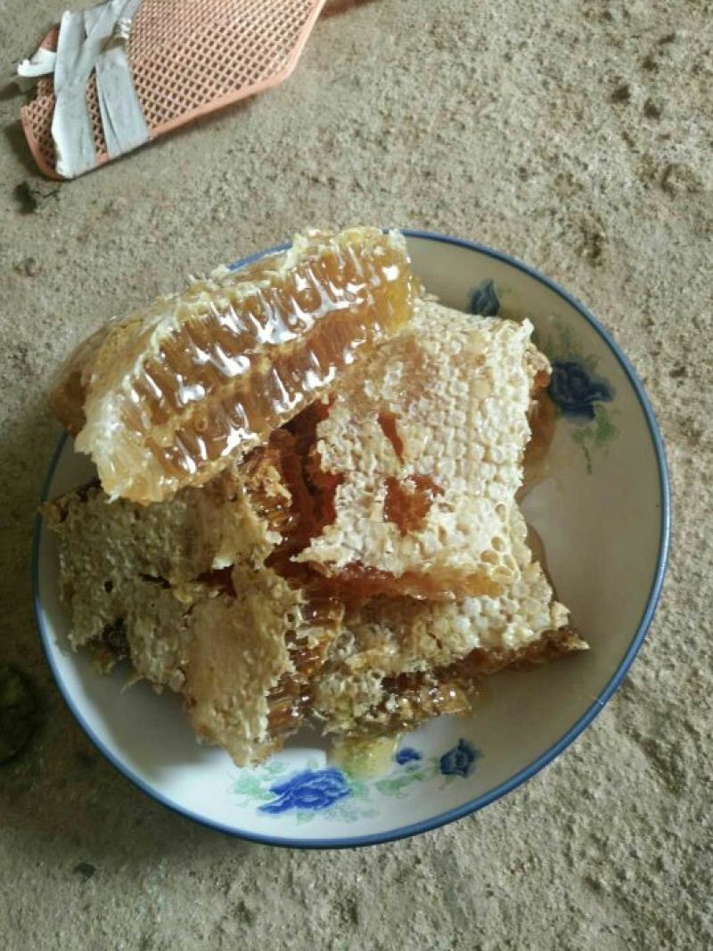 土蜂蜜