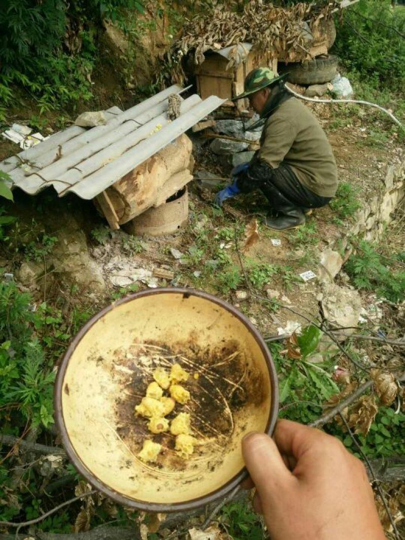 土蜂蜜