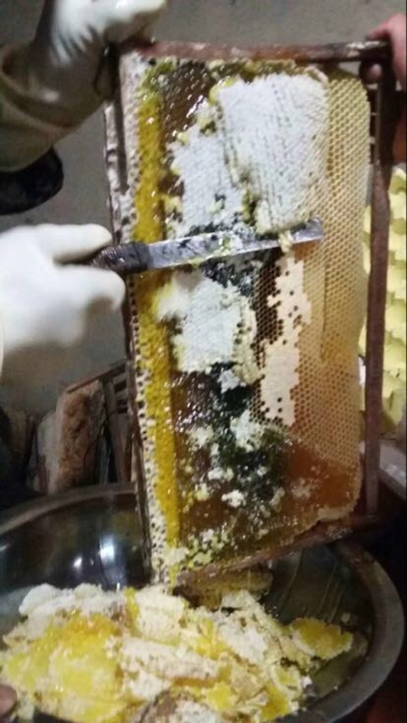 土蜂蜜1斤