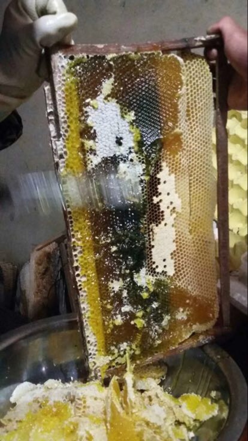 土蜂蜜1斤