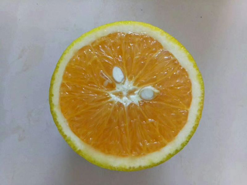 江永夏橙批发零售