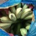 牛蕉牛角蕉大芭蕉土芭蕉酸奶蕉香蕉应季水果整箱