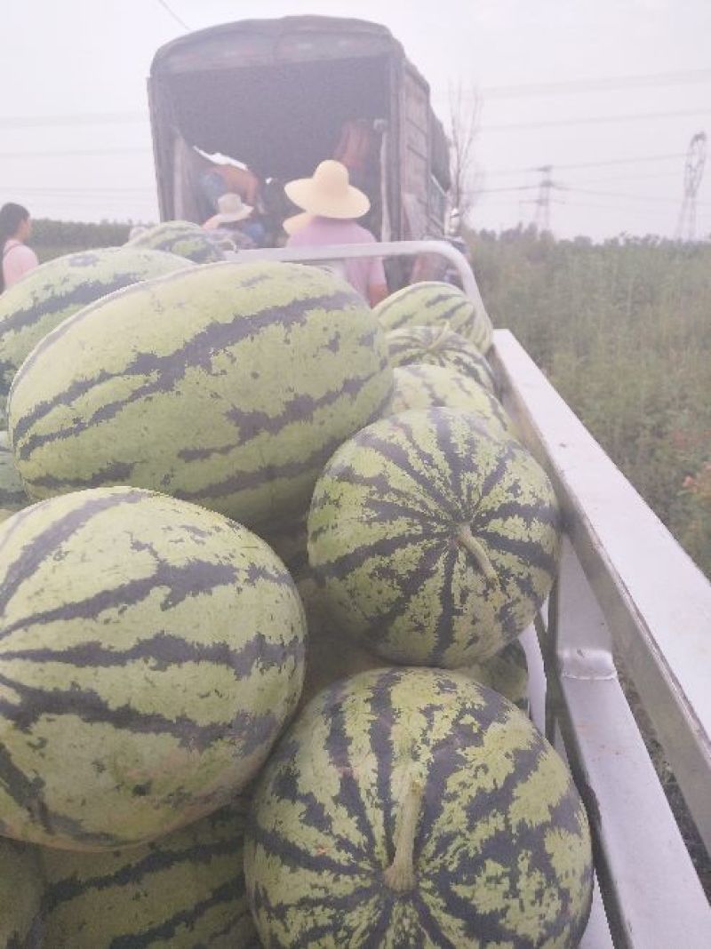 大红瓤，口感好，忻州西瓜