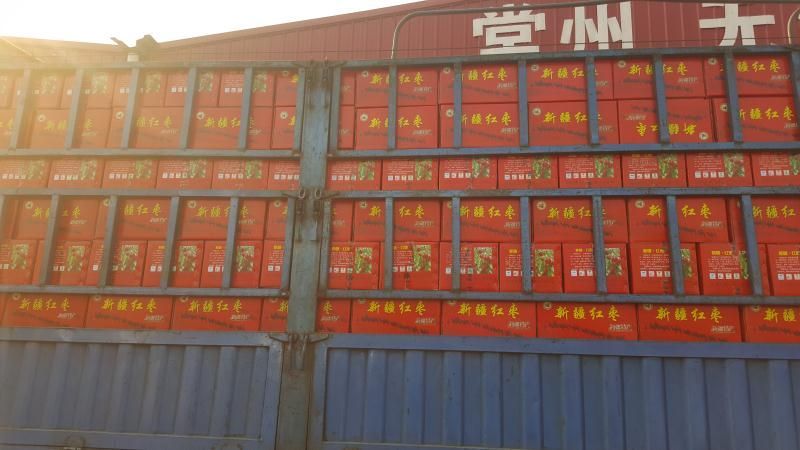 电商平台直供灰枣精品新疆若羌红枣厂家直供量大从优