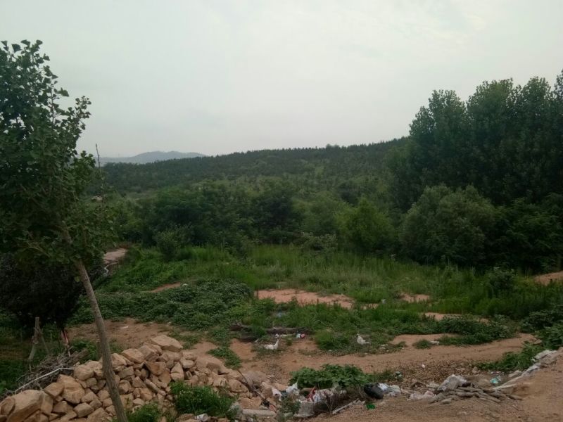 山东烟台海阳，有荒山土地承包转让