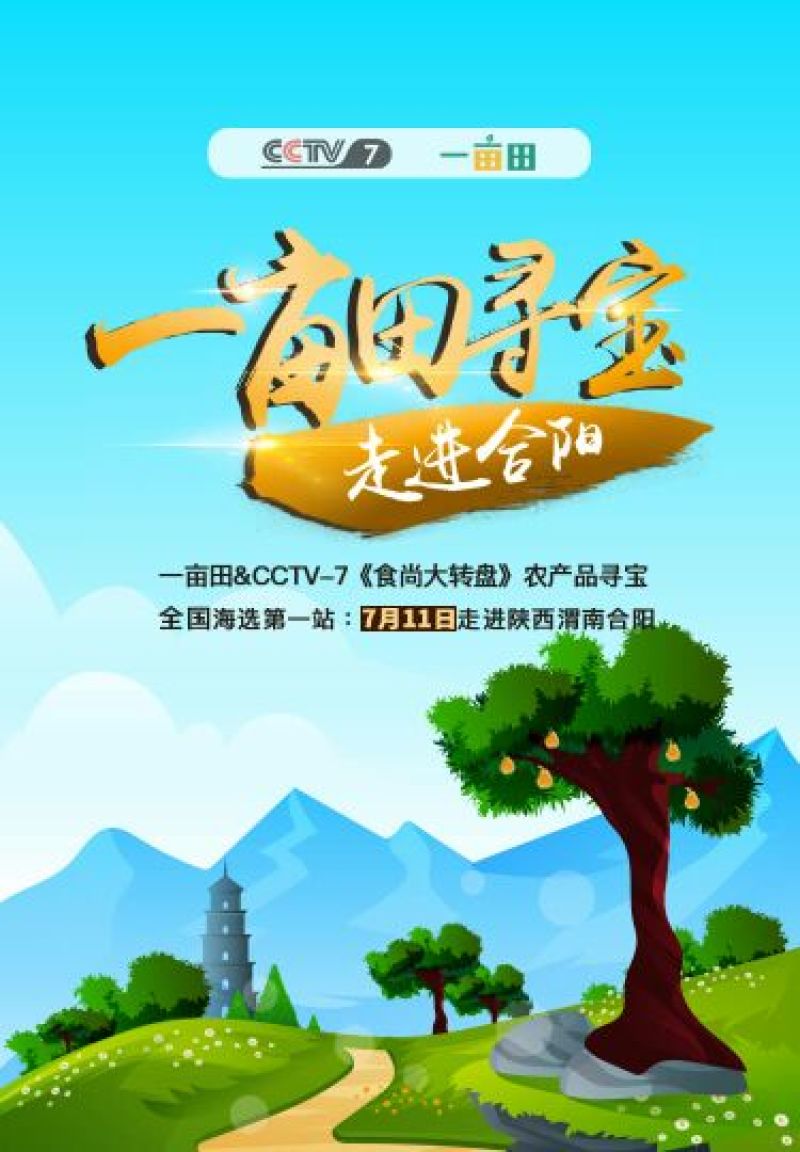 大量供应肉鸭！80天以上