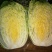 大白菜毛菜7斤以上