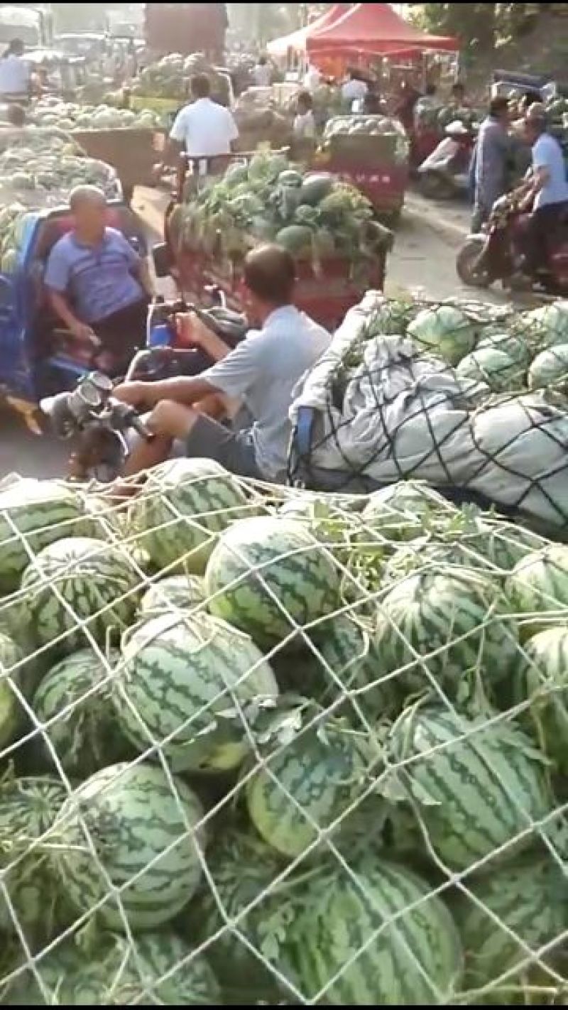 西瓜西瓜