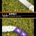 修枝锯