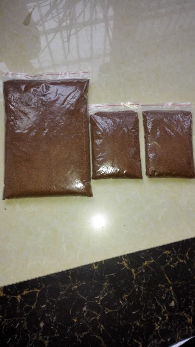 精选荠菜种子厂家发货视频当地看货拉货