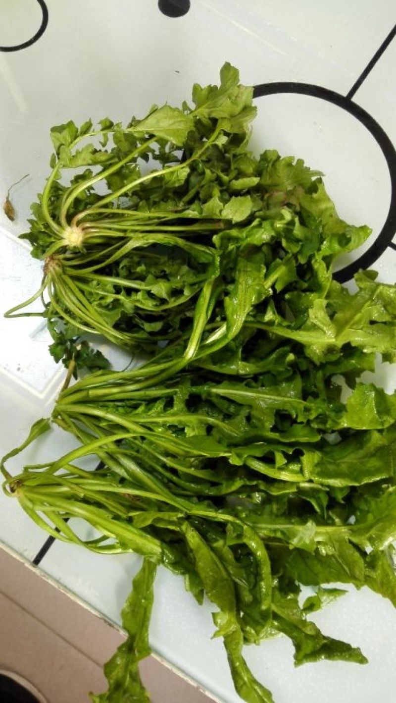 精选荠菜种子厂家发货视频当地看货拉货
