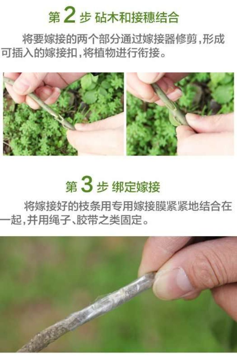 嫁接机，嫁接刀，嫁接工具