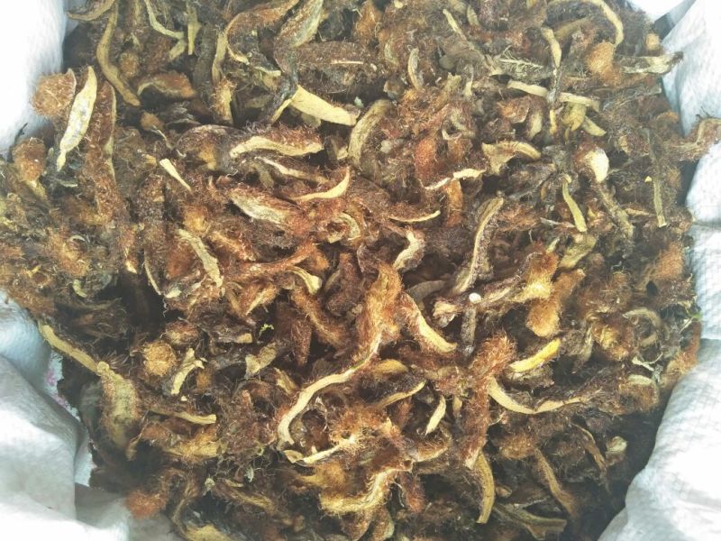 骨碎补，带毛纯野生