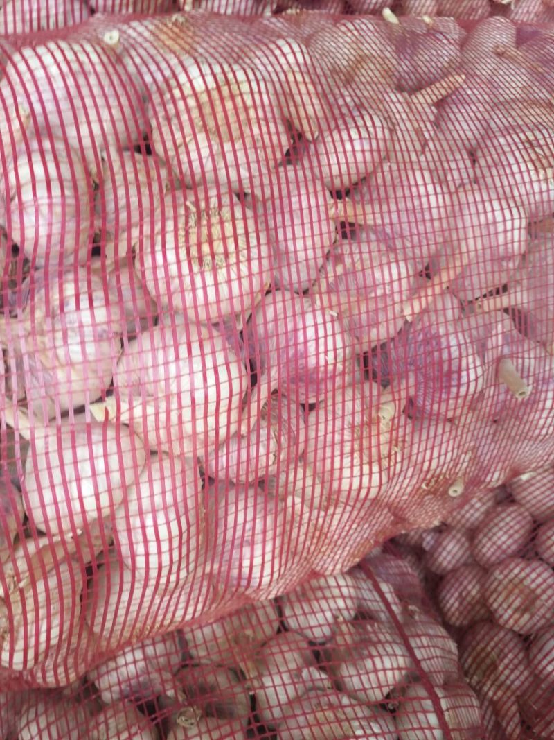 蒜米料