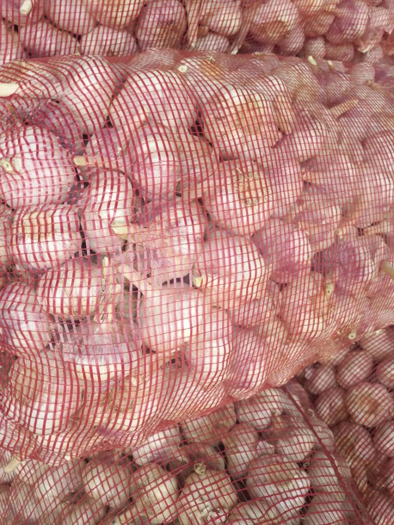 蒜米料