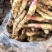 红芽姜面姜鲜姜大量上市了产地直销一手货源