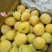炎陵黄金奈李