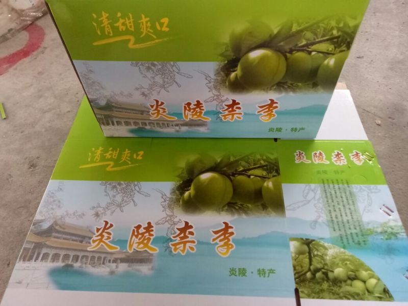 炎陵黄金奈李
