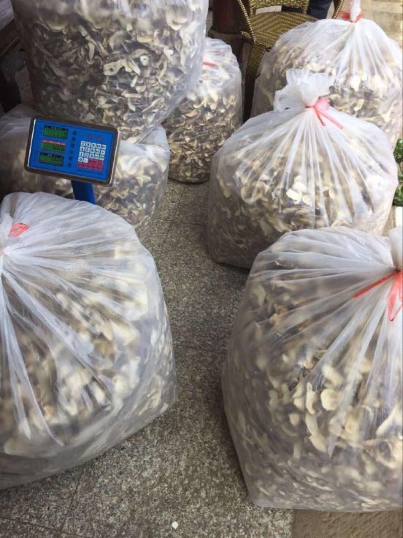 黄牛肝菌一级羊肚菌